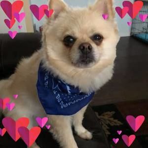 Meet your Posher, Bobbi